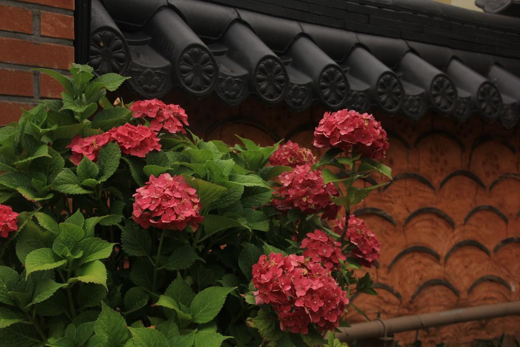Dasomchae Hanok Stay Gwangju Metropolitan City Ngoại thất bức ảnh